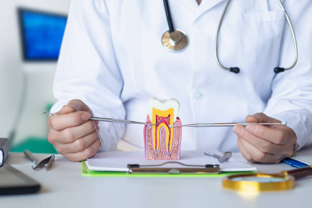Best Cosmetic Emergency Dentistry in Carrollton, VA